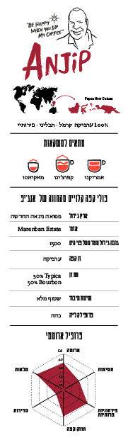 enjip profile