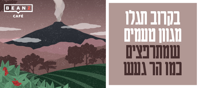 כוס תרמית של BEANZ במתנה על כל קנייה של פולי קפה באתר. קוד הקופון Beanzglass. "ט.ל.ח, עד גמר המלאי. לא חל על מנויים, אלא רק על קנייה מזדמנת של פולי קפה.