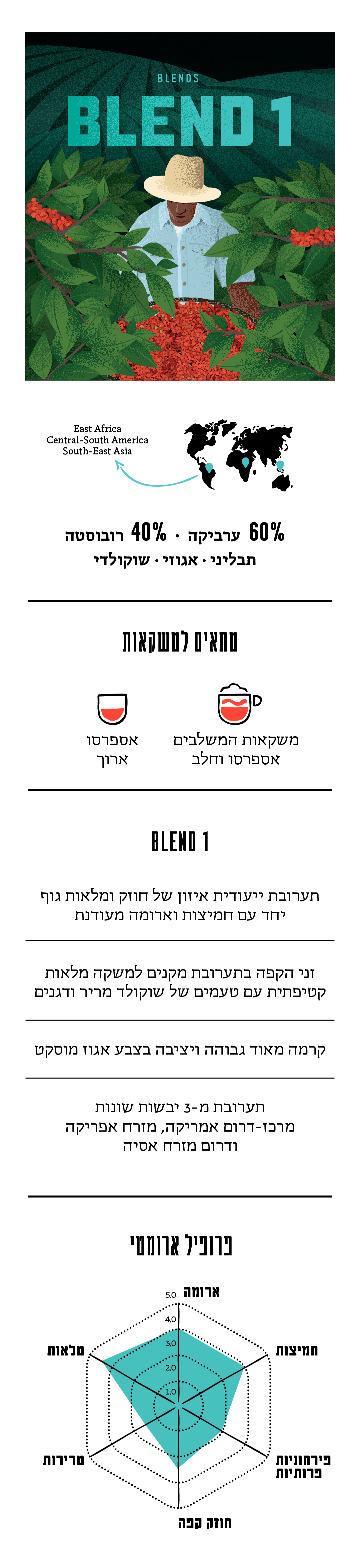 תיאור תערובת Blend1