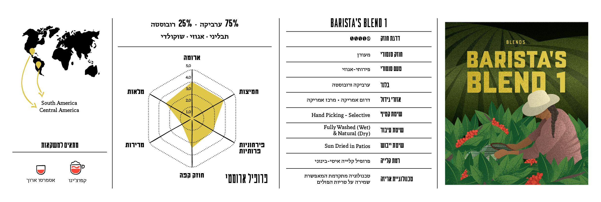 תיאור תערובת Blend1