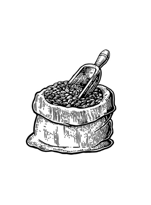 ציור קפה ערביקה