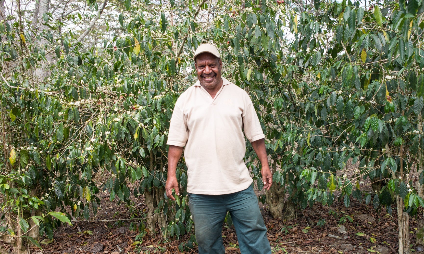 אנג׳יפ מארה