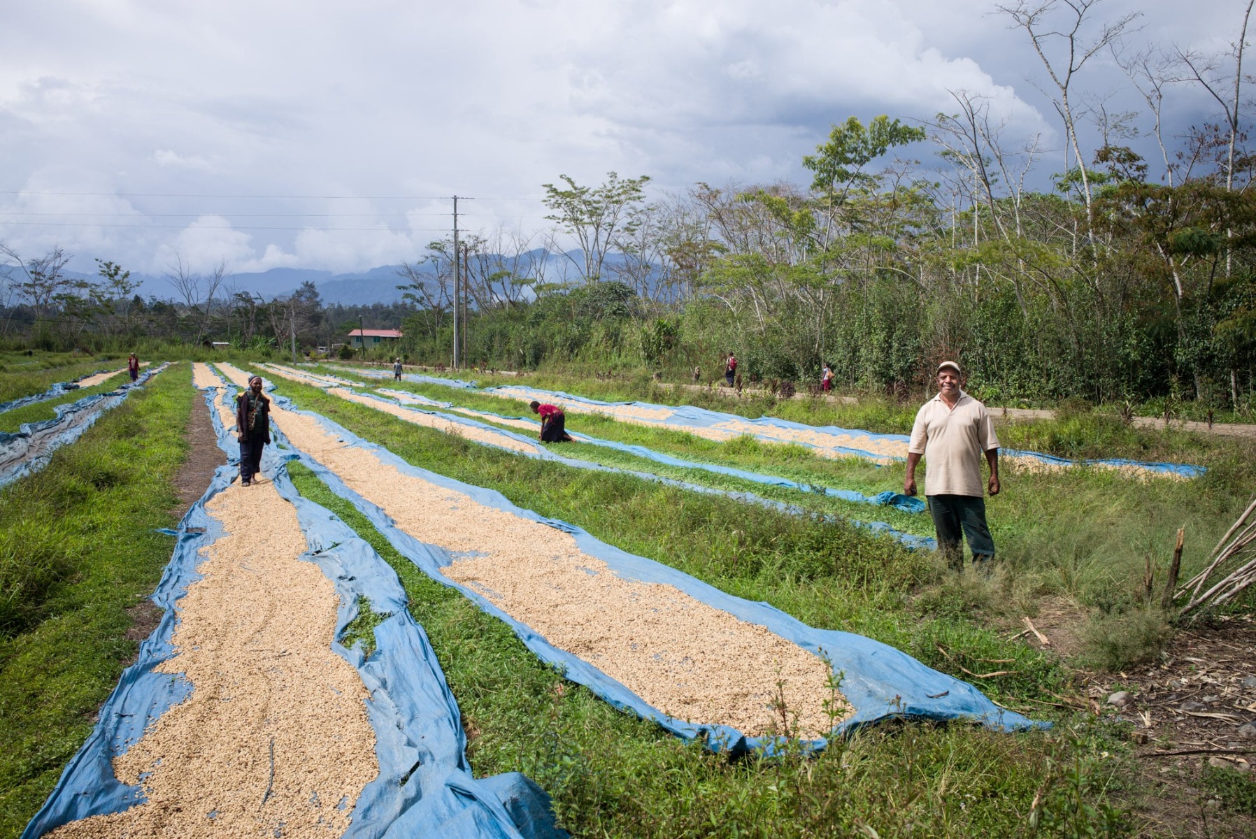 אנג׳יפ מארה
