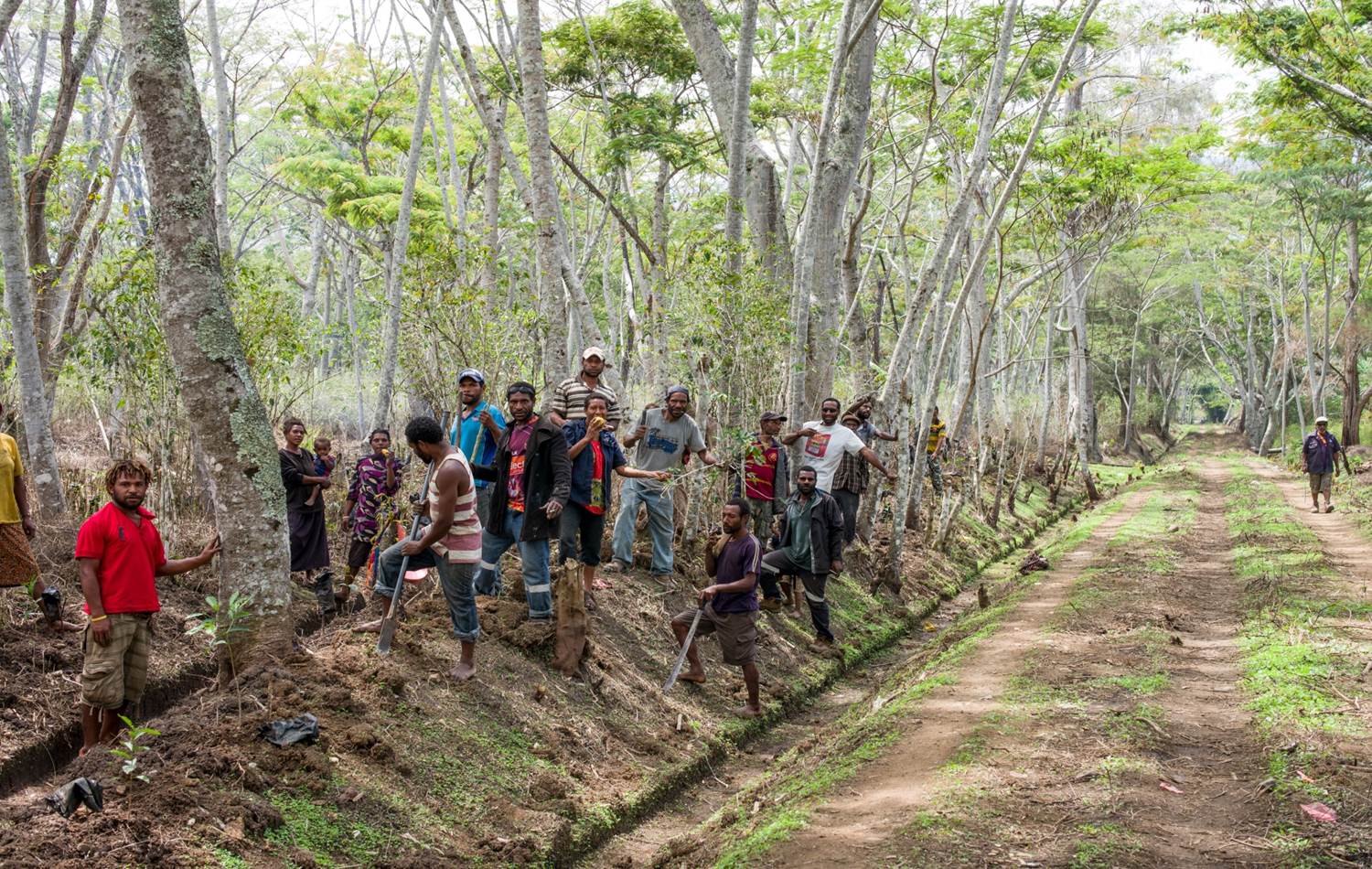 אנג׳יפ מארה