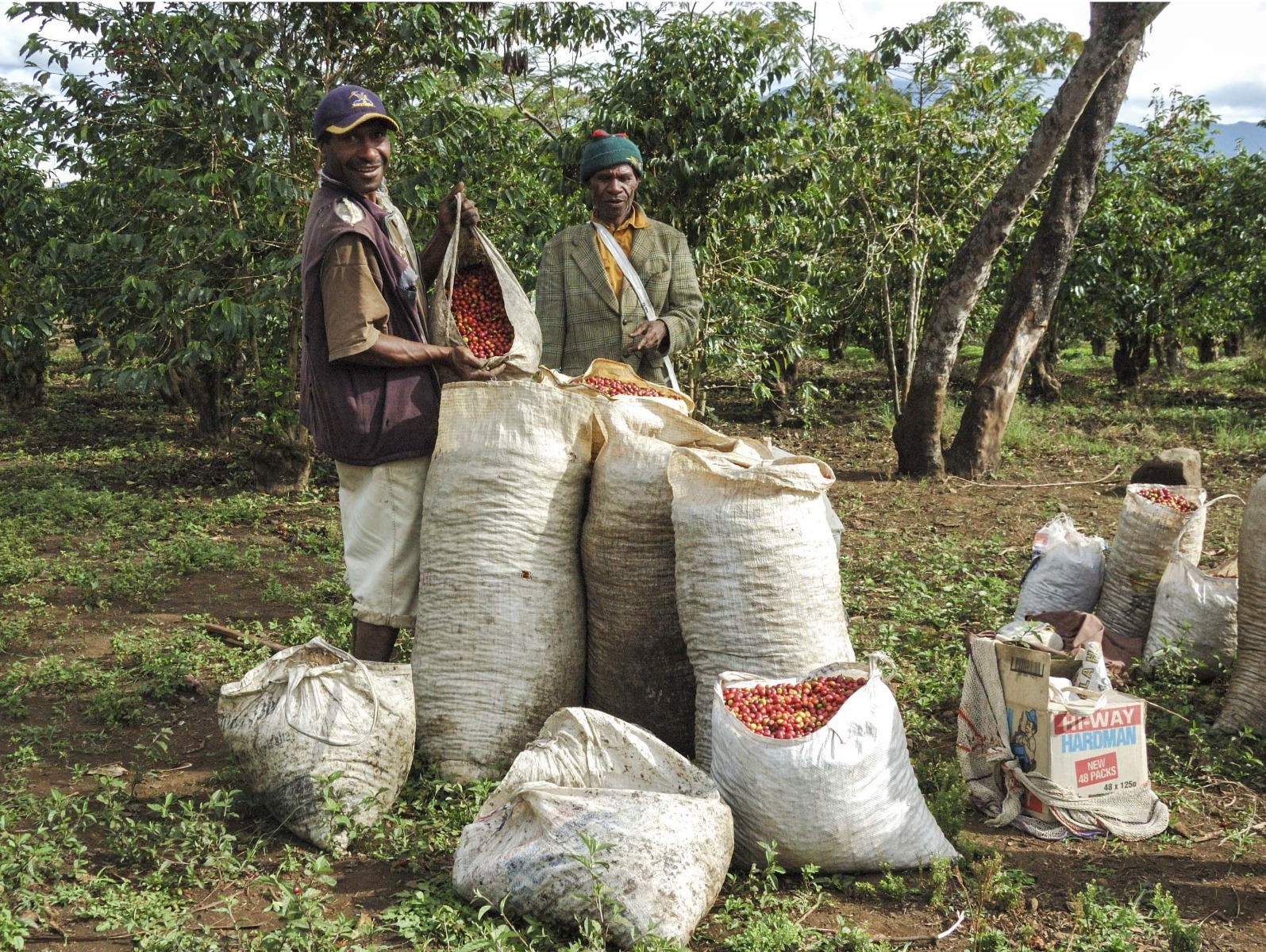 אנג׳יפ מארה