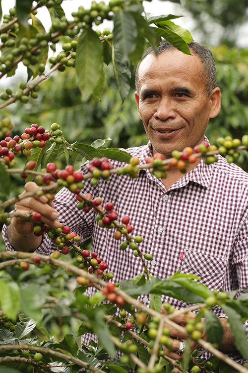 סיה עבדוללה