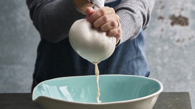 חובצת גבינה