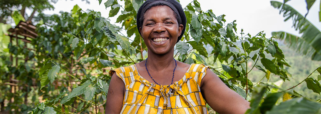 באנר מהחקלאי לכוס הקפה