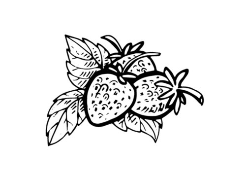 ציור של תותים