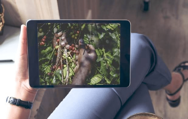 טאבלט עם תמונה של קוטף קפה